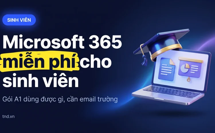 Microsoft 365 cho sinh viên: bản A1 miễn phí dùng được gì
