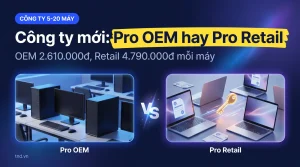 Công ty mới 5-20 máy nên mua Windows 11 Pro loại nào