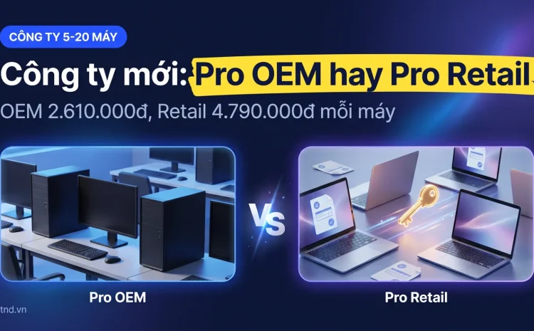 Công ty mới 5-20 máy nên mua Windows 11 Pro loại nào