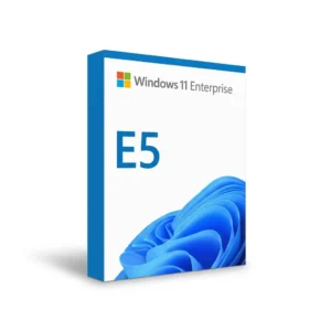 Hộp bản quyền Windows 11 Enterprise E5 bản quyền chính hãng (1 user, 1 năm)