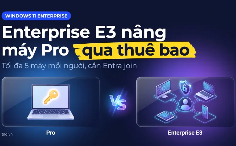 Windows 11 Enterprise là gì, khi nào doanh nghiệp cần hơn Pro