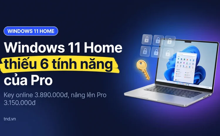 Windows 11 Home là gì: giới hạn so với Pro và giá bản quyền 2026
