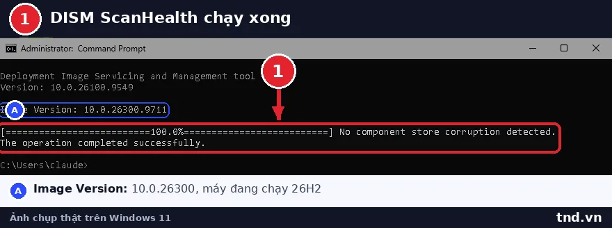 Command Prompt quyền quản trị chạy DISM ScanHealth trên Windows 11 26H2, kết quả No component store corruption detected