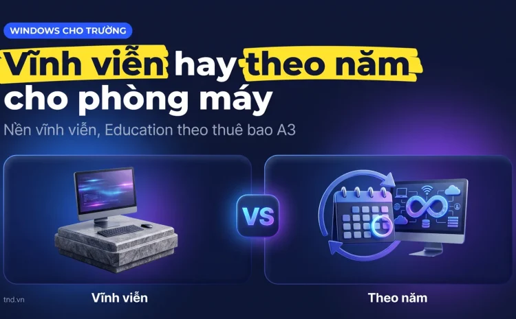 Bản quyền Windows cho trường học: mua vĩnh viễn hay theo năm