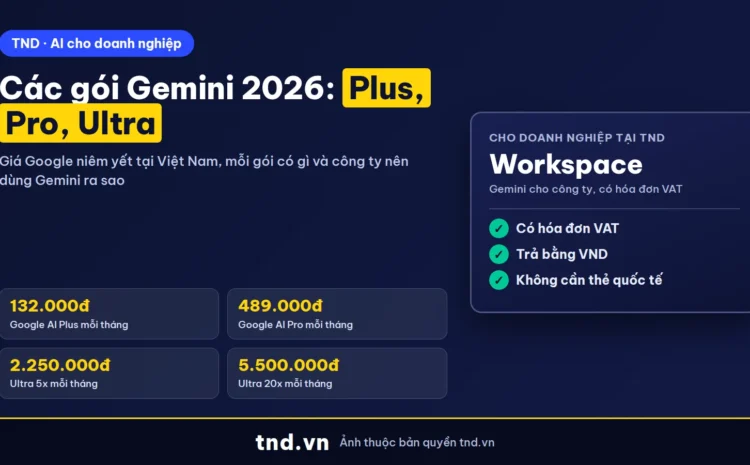 Các gói Gemini 2026: Google AI Plus, Pro, Ultra giá tại Việt Nam