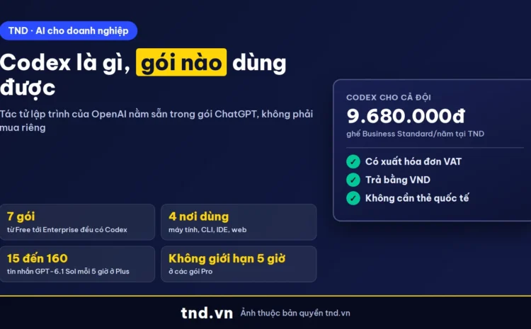 Codex là gì và gói ChatGPT nào dùng được Codex