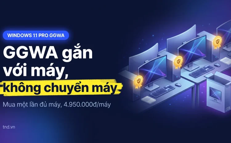 GGWA Windows sau khi mua: quyền dùng ở đâu, thay máy được không