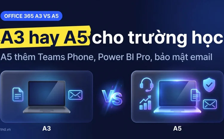 Office 365 A3 hay A5 cho trường: chọn theo nhu cầu nào
