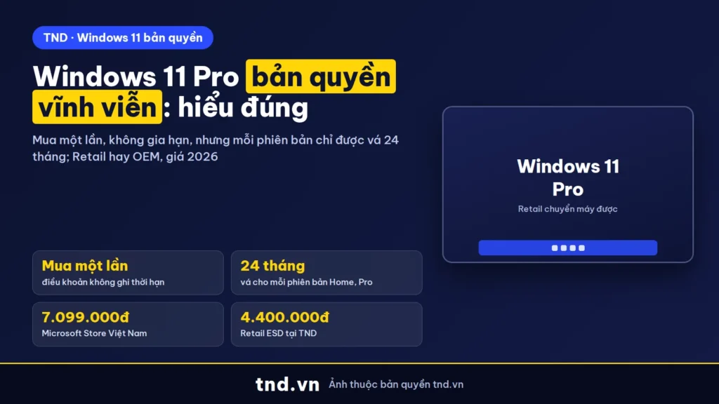 Windows 11 Pro bản quyền vĩnh viễn: hiểu đúng và giá 2026