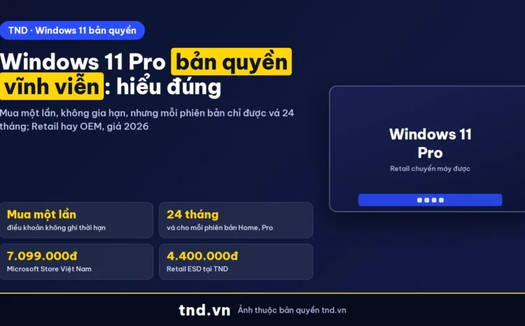 Windows 11 Pro bản quyền vĩnh viễn nghĩa là gì và giá 2026