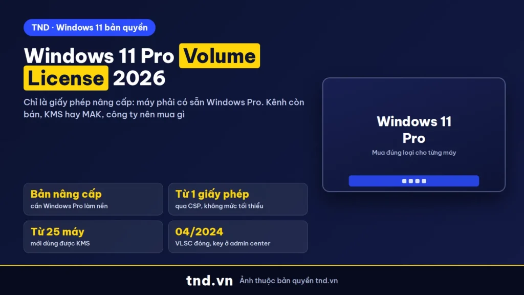 Windows 11 Pro Volume License (VL) 2026: công ty mua thế nào cho đúng