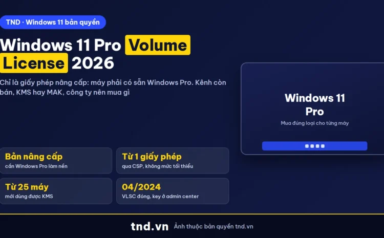 Windows 11 Pro Volume License 2026: chỉ là giấy phép nâng cấp, công ty mua thế nào