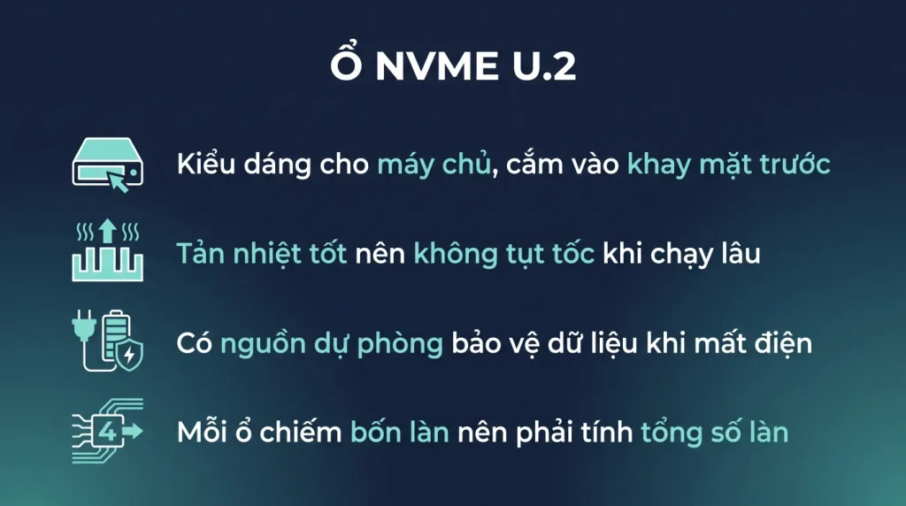 Nâng cấp miễn phí Linux Hosting lên U.2 NVMe Enterprise và CPU xung cao