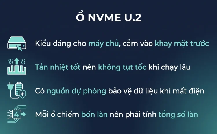 Ổ NVMe chuẩn U.2 trên máy chủ khác gì ổ thường