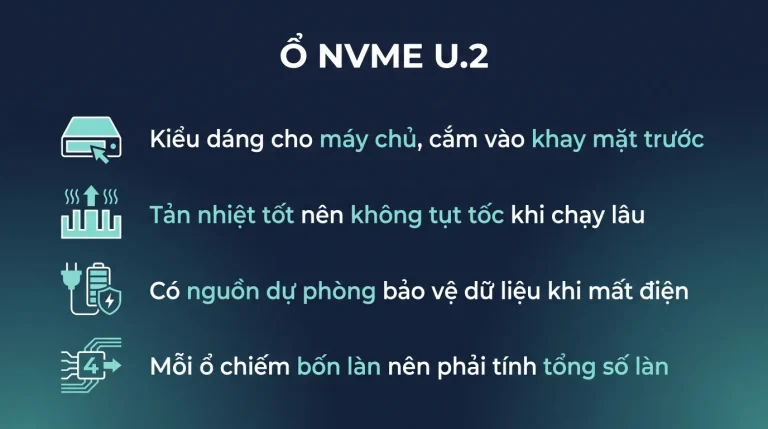 Ổ NVMe chuẩn U.2 trên máy chủ khác gì ổ thường