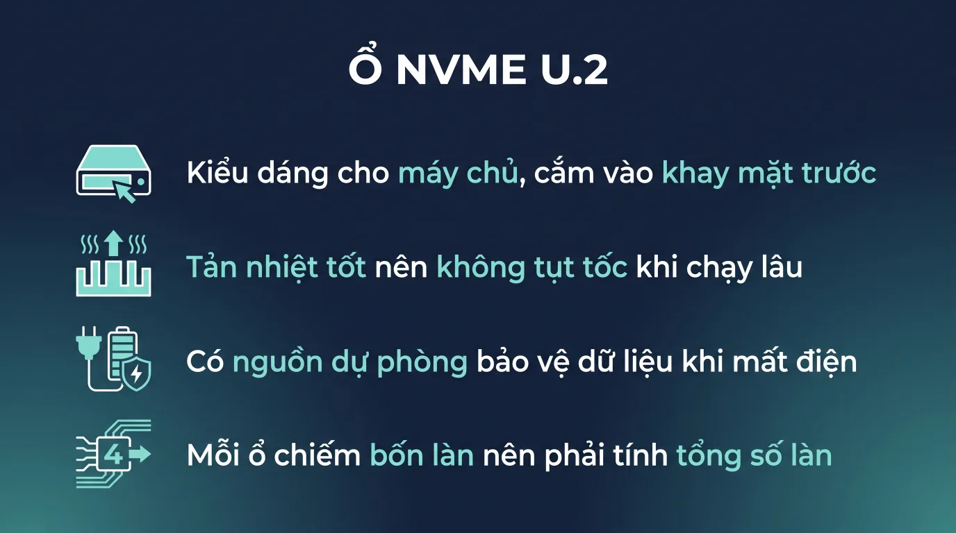 Nâng cấp miễn phí Linux Hosting lên U.2 NVMe Enterprise và CPU xung cao
